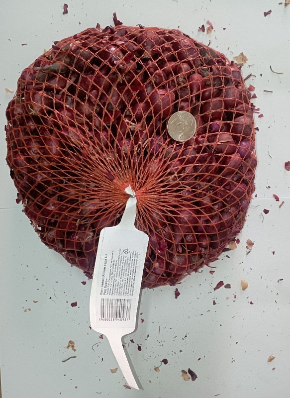 Лук севок Ред Барон 0,5 кг (калибр 9/21) 